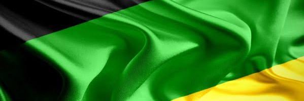 Ace Magashule (OFFICIAL) banner