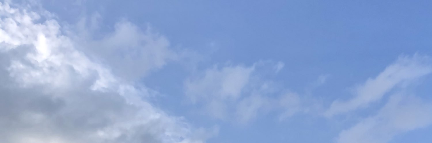 lettuce banner