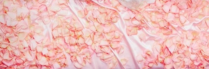 Ariana Grande Charts banner