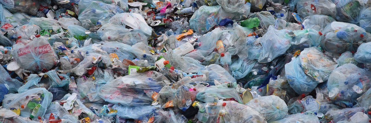 Beyond Plastics's banner