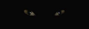 insconspicuous's profile banner image