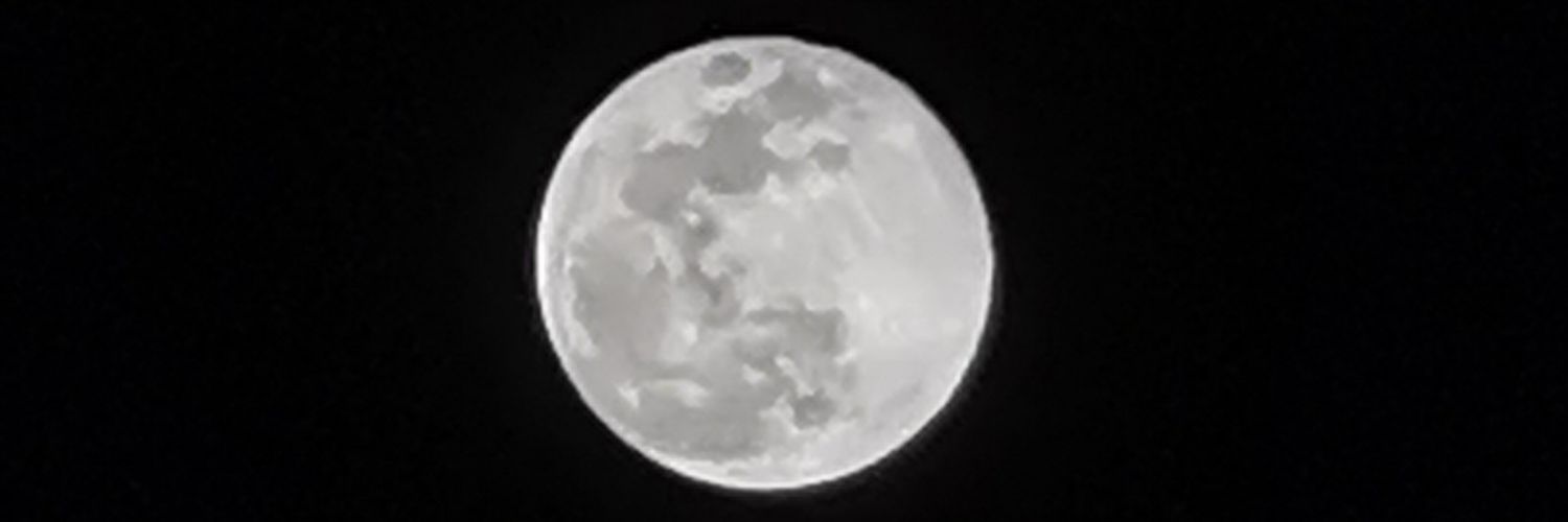 Kudavinci's profile banner image