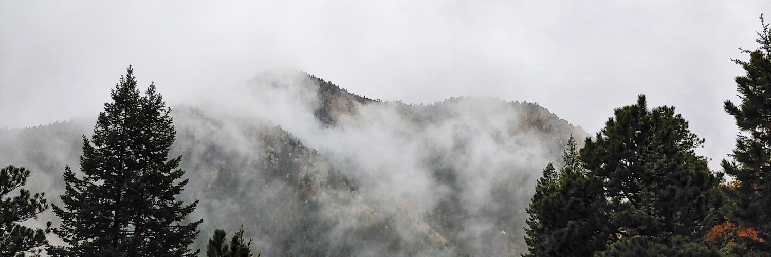 MICKEY_TRBL's profile banner image