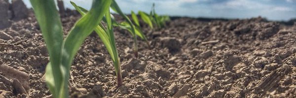 lakeside_melb Profile Banner