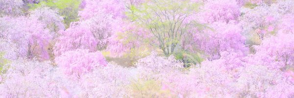 AlohaPhotoWorks's profile banner image