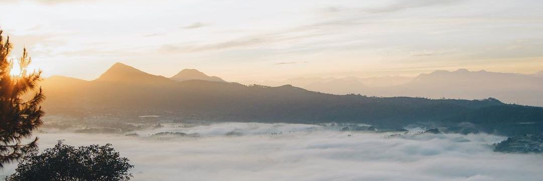anendrawp's profile banner image