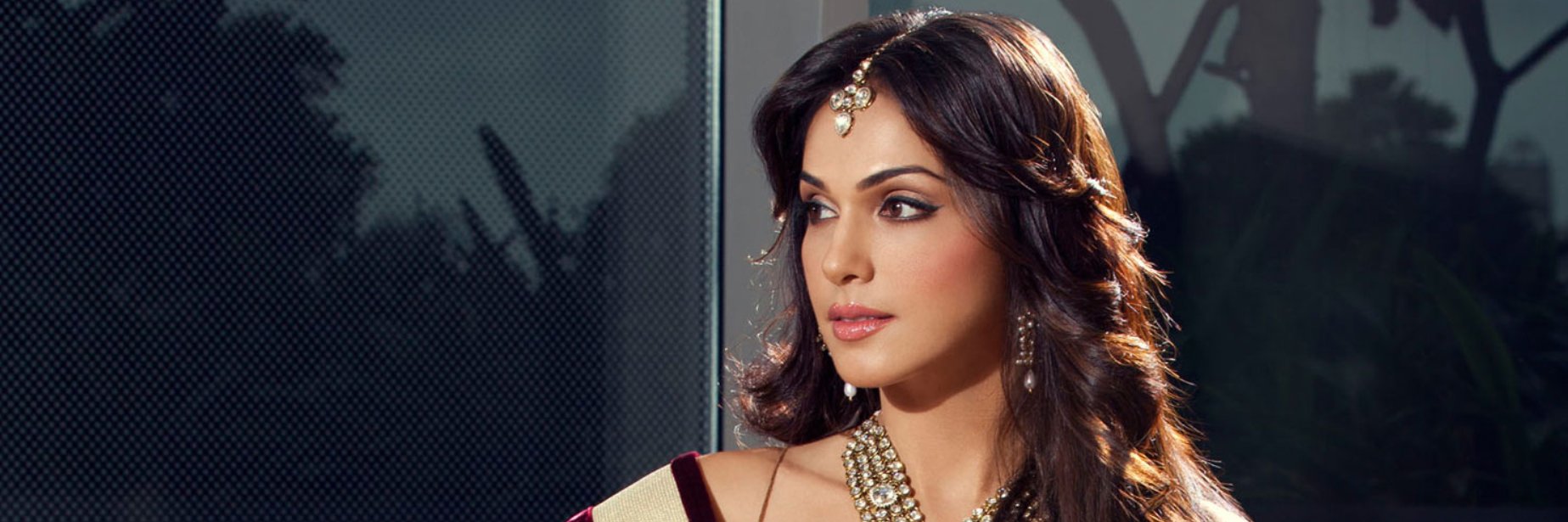Isha Koppikar banner