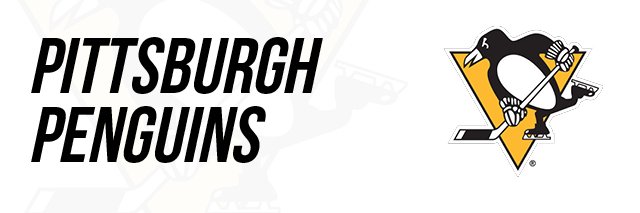 Pittsburgh Penguins FR🇫🇷 banner