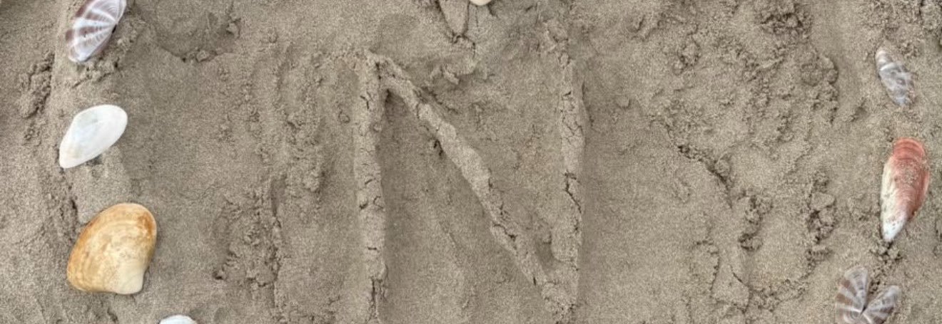 nvvuer's profile banner image
