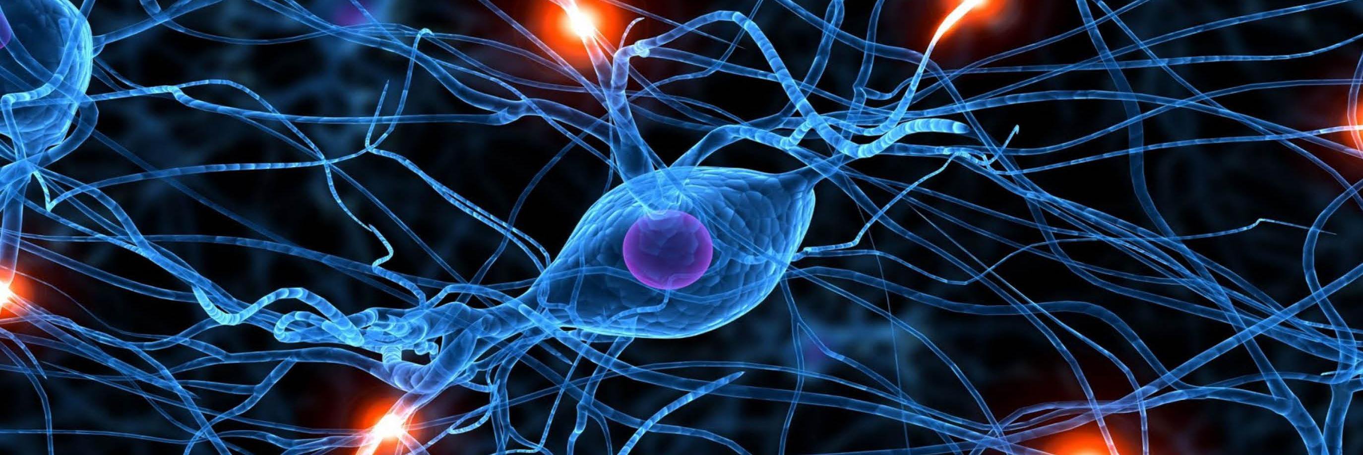 NeuRulller's profile banner image