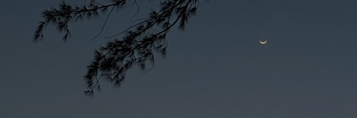 _aripablo's profile banner image