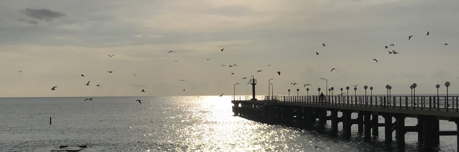 lebriquet's profile banner image