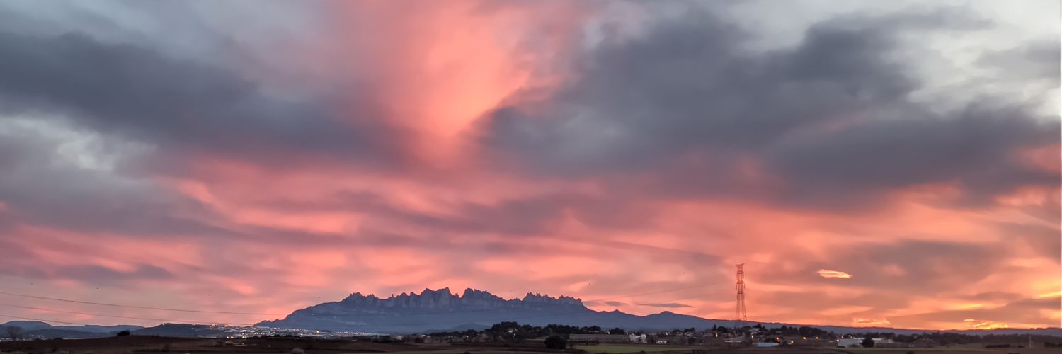 carol_arnau's profile banner image