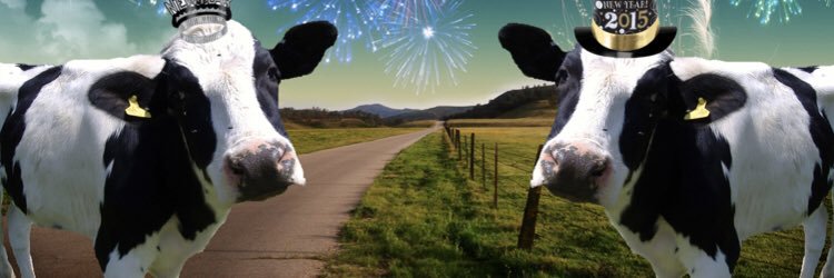 Cowbridge Moovers banner