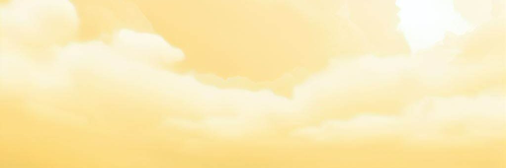Naroic banner
