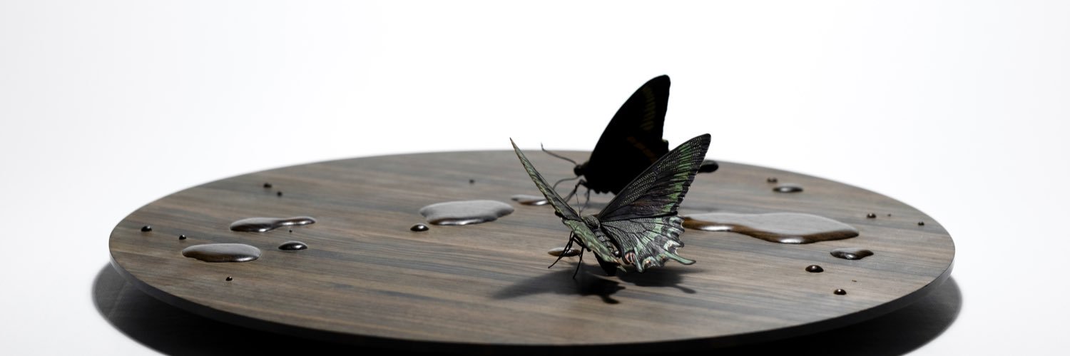 FUKUDA Toru　福田 亨 banner