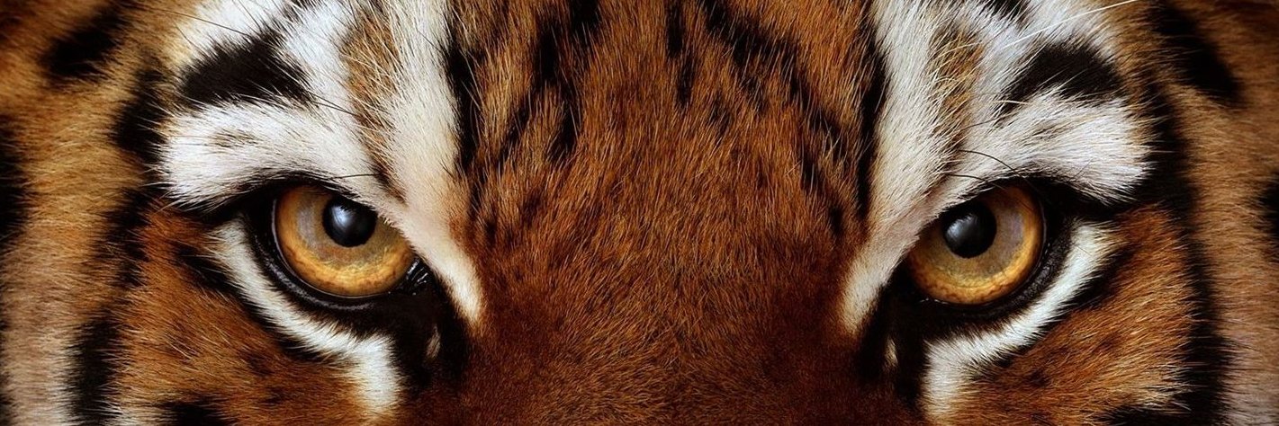 💨 banner