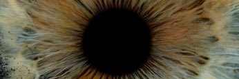 beysharr's profile banner image