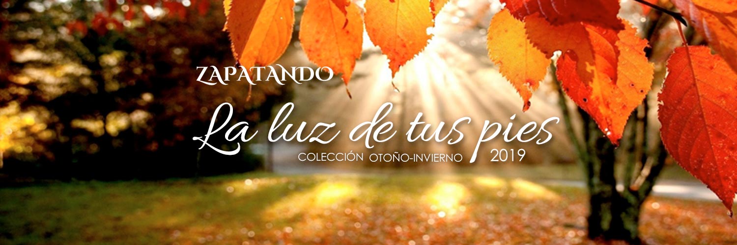 zapatando's profile banner image