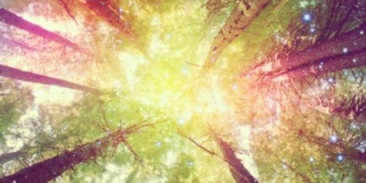 olya_kopteva's profile banner image