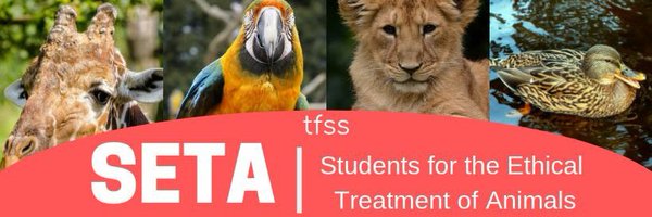 tfssSETA Profile Banner