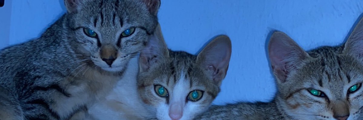 ITz-BamBam 💥 banner