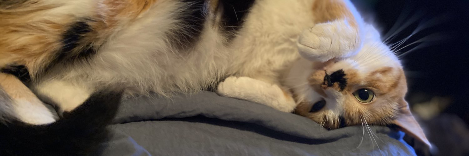 meowruby's profile banner image