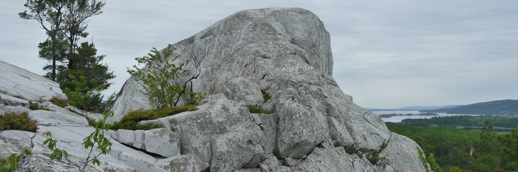 NiinRS's profile banner image