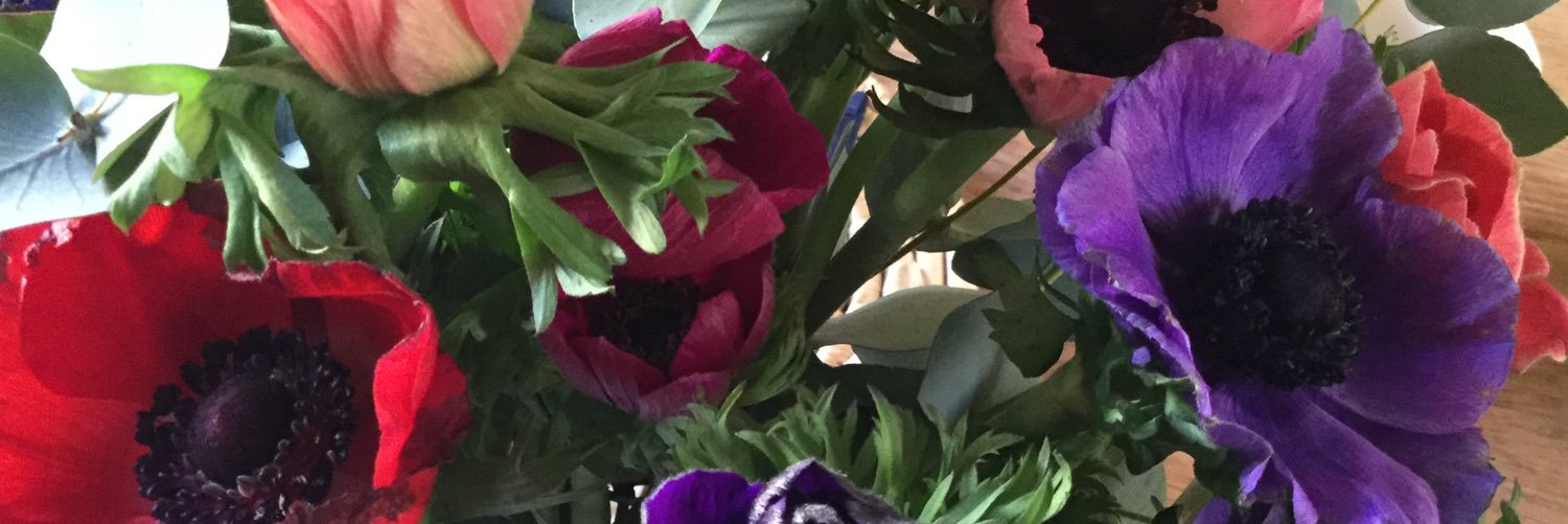 Dr Kate Mackenzie Davey banner