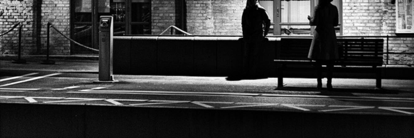 Trenopoiisis's profile banner image