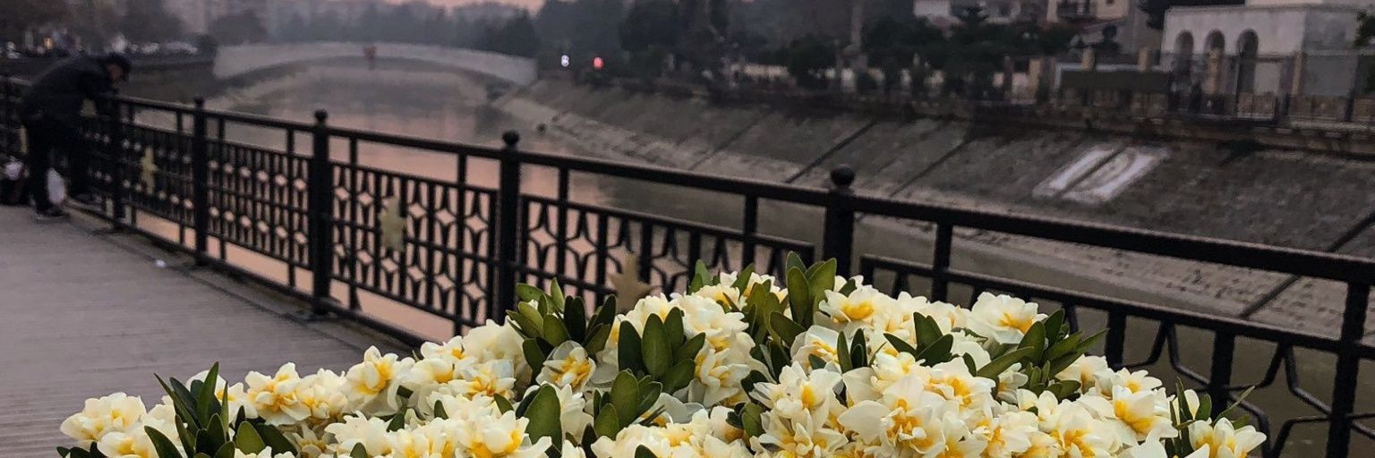 sahanyan's profile banner image