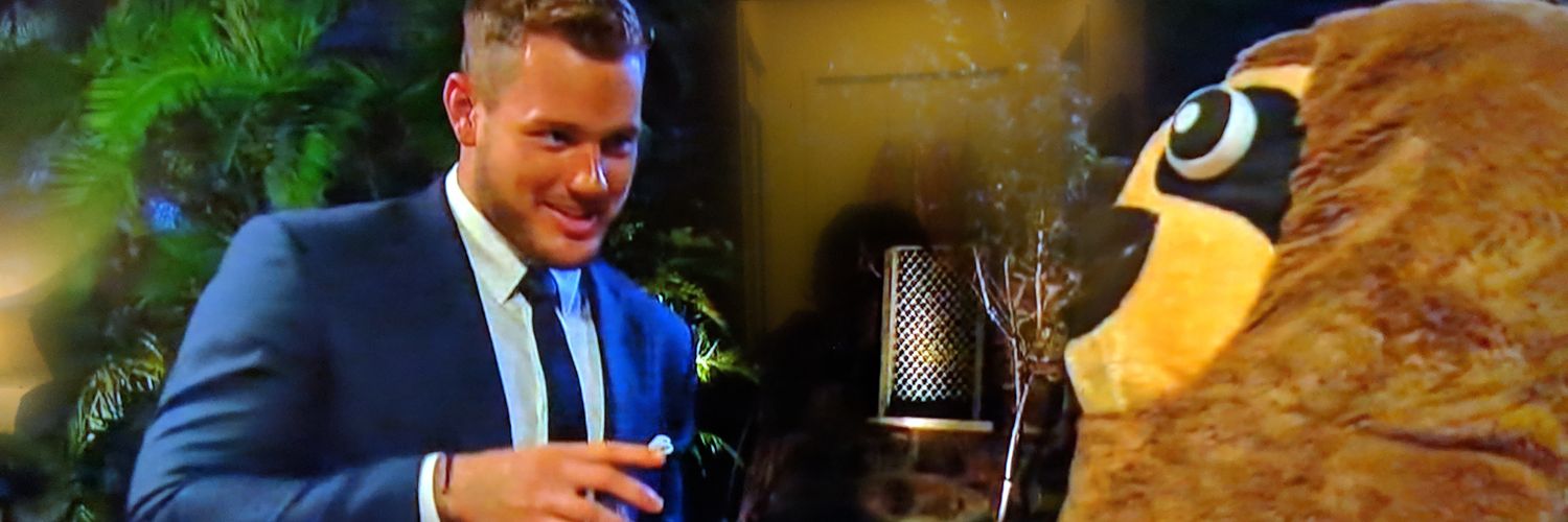 BachelorSloth's profile banner image