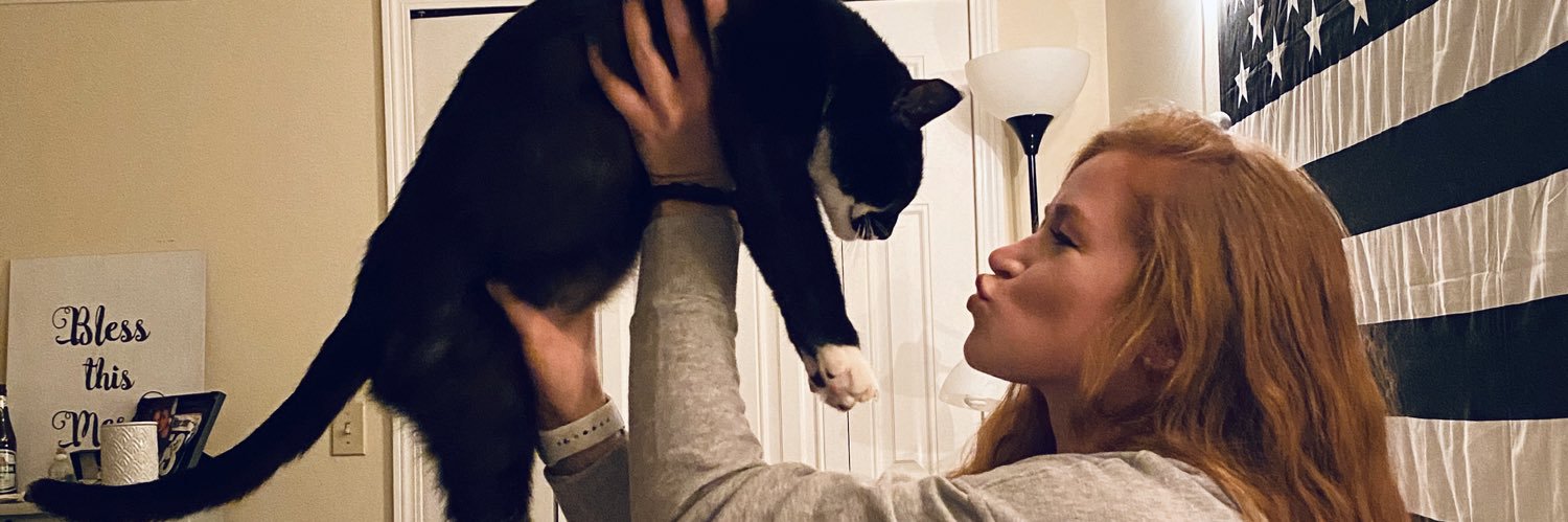 CassidiLovell's profile banner image