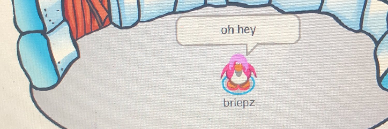 briepz96's profile banner image