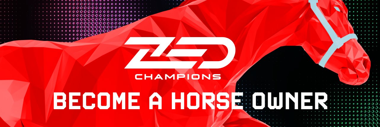 ZED CHAMPIONS banner