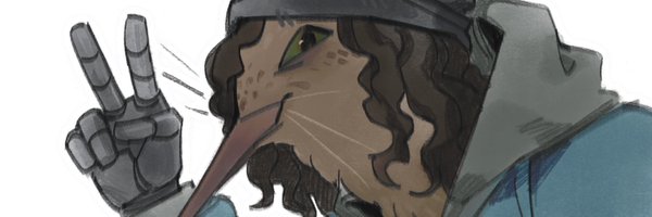 randmkiwi Profile Banner