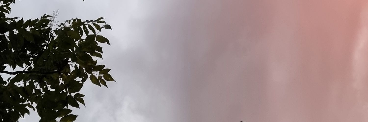 senpaisaurus_'s profile banner image