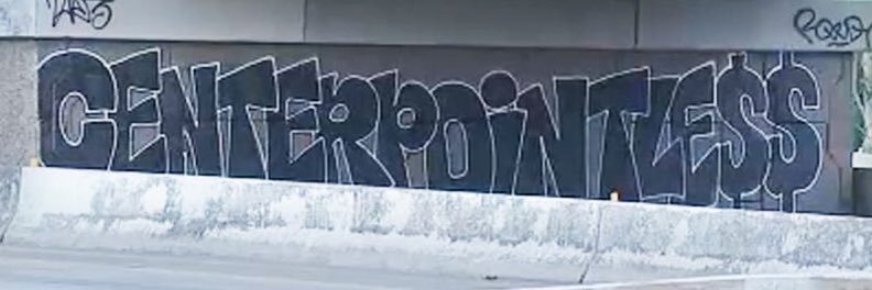 politiflops®️'s banner