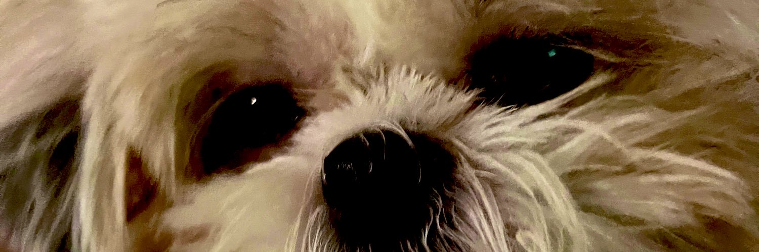 ath0ena's profile banner image
