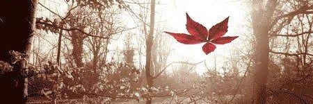 RamazanDken's profile banner image