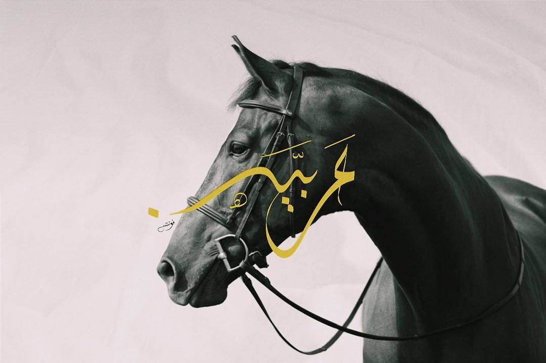mohammedzi13's profile banner image