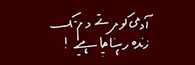 Ali Raza Shaaf (@AliRazaShaaf) / Posts / X