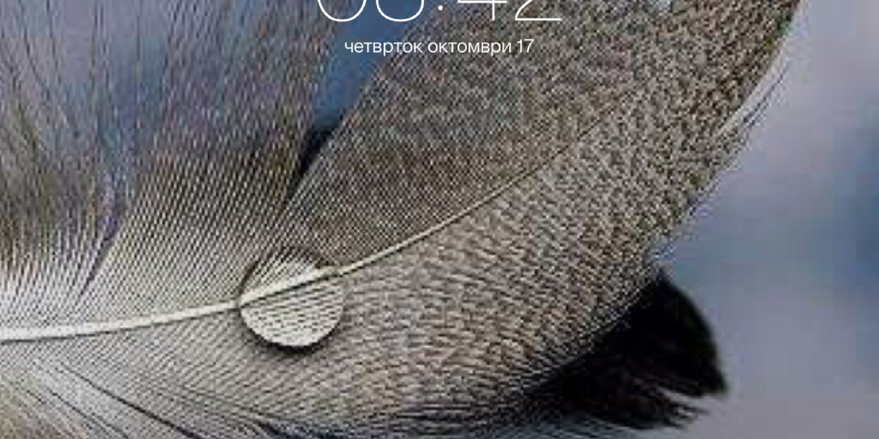 aass809's profile banner image