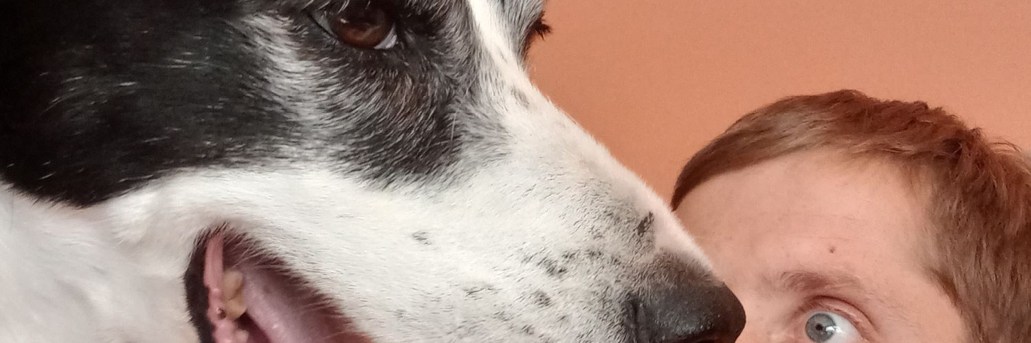 Jamie Kennedy banner