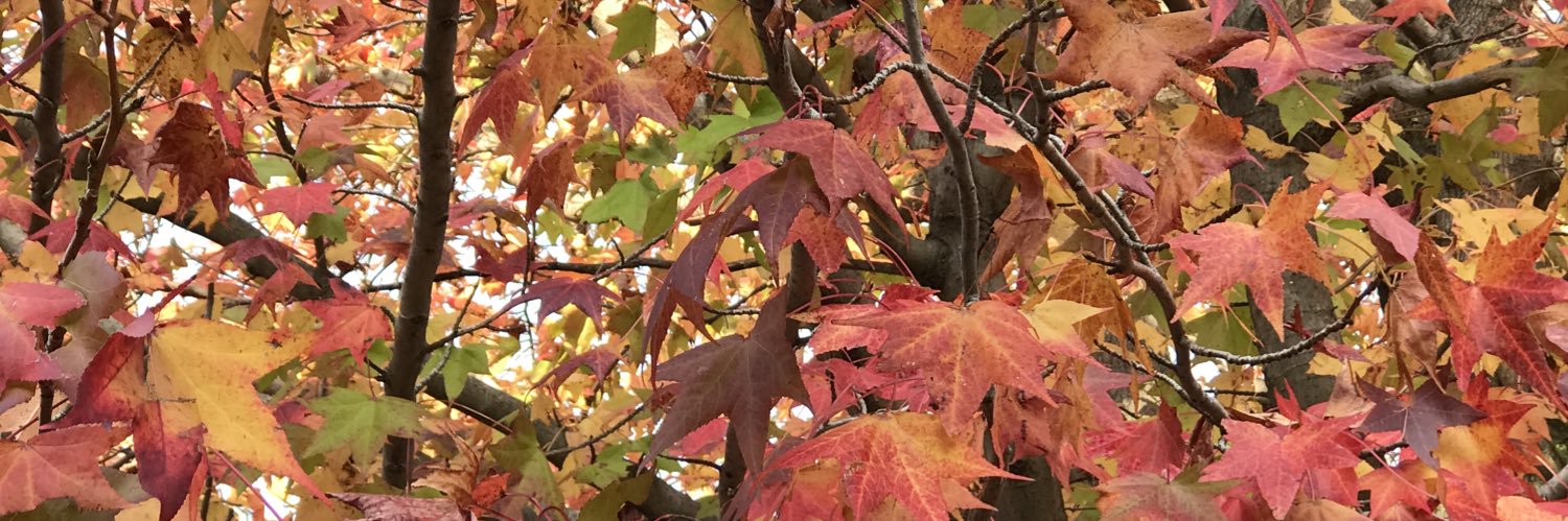 TmykGo's profile banner image