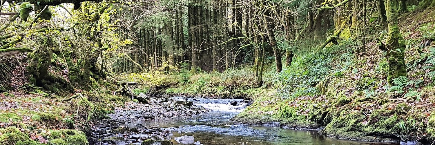 GywainJones's profile banner image