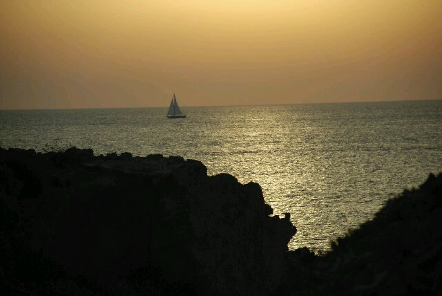 marta_tintore's profile banner image