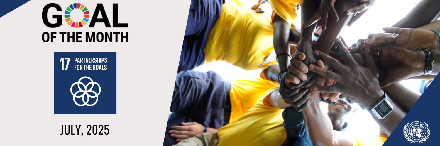 UN Eswatini's banner