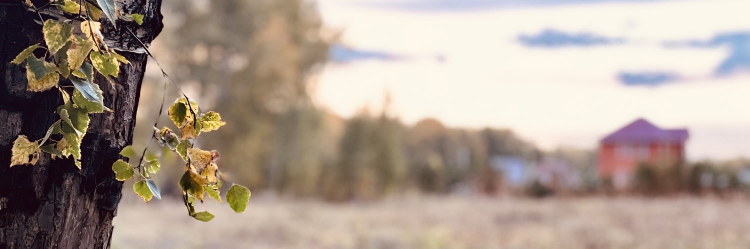 warnbringer's profile banner image