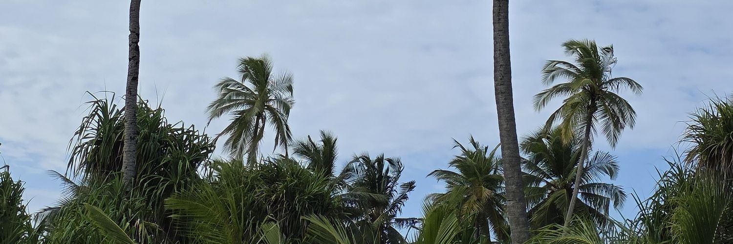 aamir_salym's profile banner image